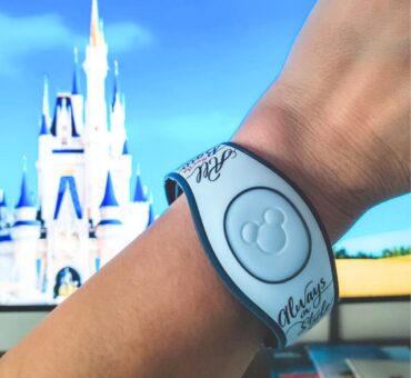Disney World Ticket Guide: Which Park Pass is Right for Your Family?